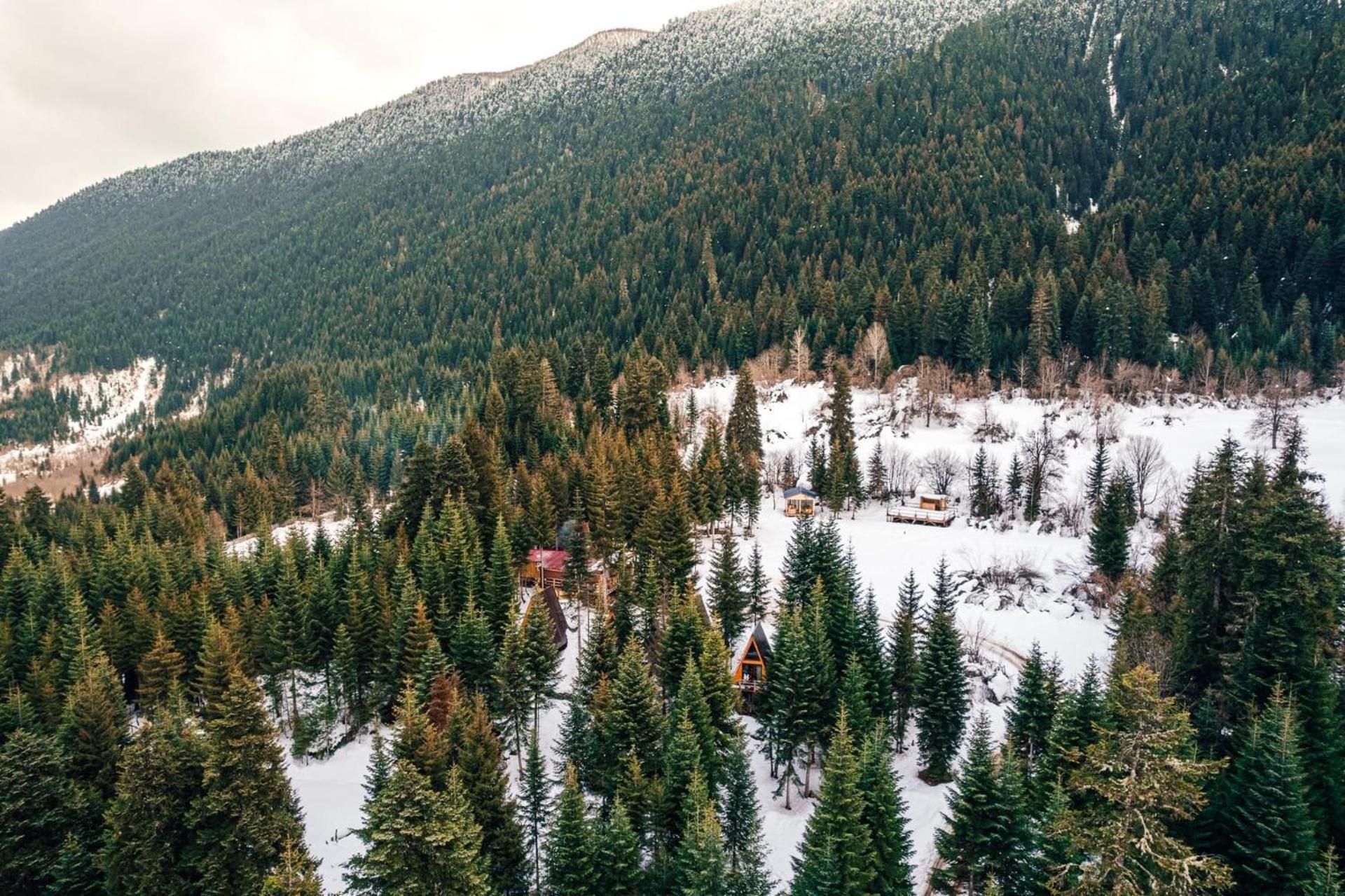Bude Mestia Cottages Экстерьер фото